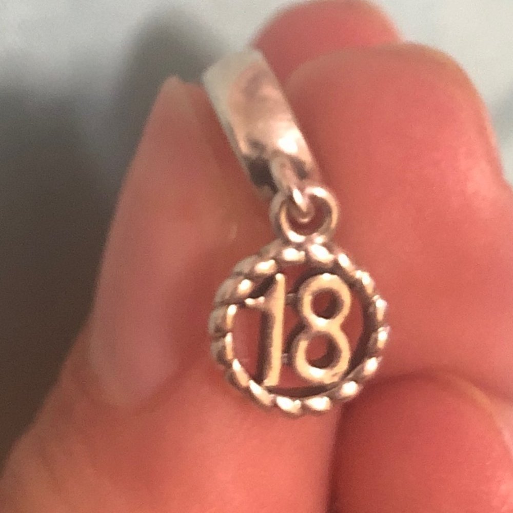 18 pandora charm